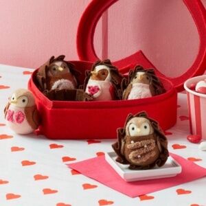 NEW Target Featherly Friends Chocolate Box Valentine's Day